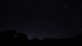 A beach under the stars - Powered by Shutterstock - Get 15% off with code: PIKWIZARD15