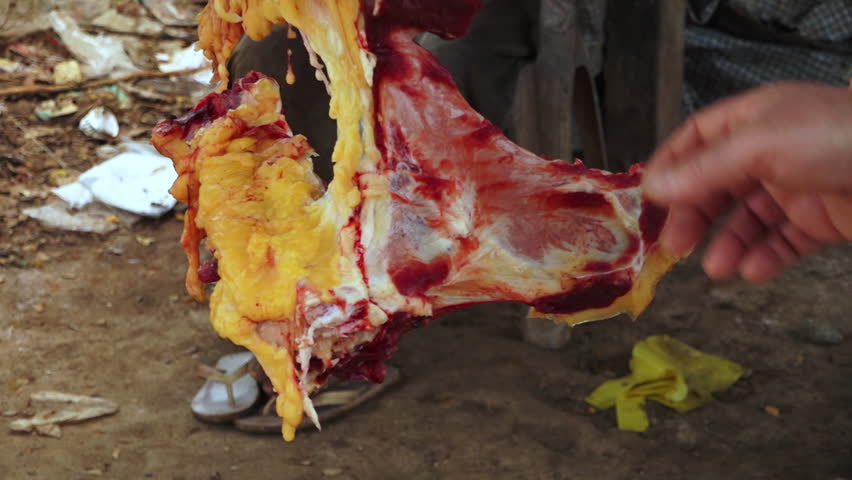 Close up of meat hanging from hook being spun around by person to reveal flies, bone and blood
