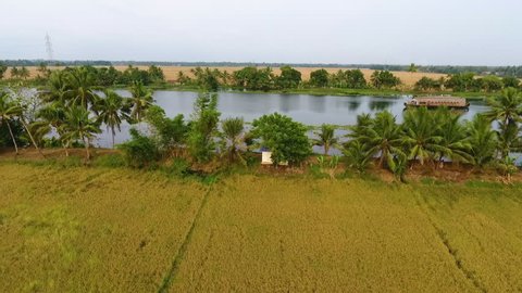 A panning aerial shot of the backwaters in Kerala India.