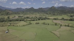 Aerial view of fields in Flores, Indonesia. 4K, D-Log.