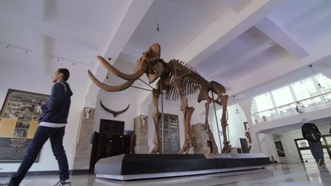 Bandung, West Java / Indonesia - October 21st 2018: The Dinosaurus Displays/Exhibits in the Geologi Museum