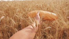 farmer holds bread first person view. man holds a lifestyle bread loaf in a wheat field. slow motion video. successful agriculturist in field of wheat. harvest time. bread baking vintage agriculture