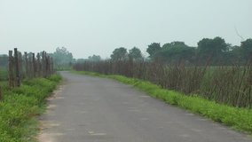 Road Between Green Field – Agricultural Video