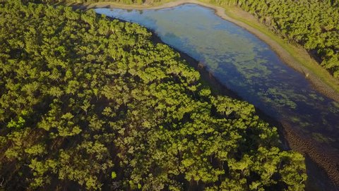 Aerial view of lake and forest, Kakadu National Park, Australia