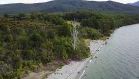Aerial view of lake with small beach and trees around, New Zealand