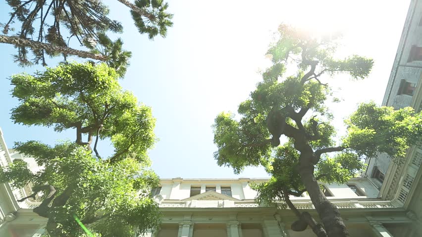 A head-on shot of the main entrance of a traditional university campus. The interior patio of the building can be seen between the stone arches and the entrance is lines with bushes and small trees.