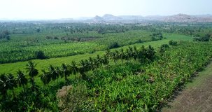Drone footage of the countryside near Hampi, Karnataka, India, with fields of banana plantations, coconut trees around the fields and bouldery hills in the background. The camera is going over the fie