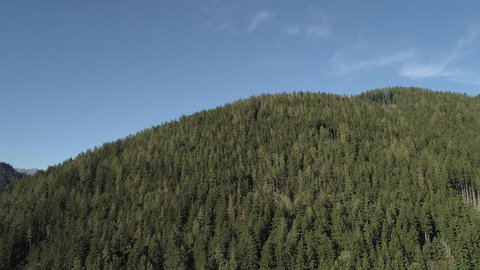 Austria Mountains Aerial Farming Community village and Pine Trees