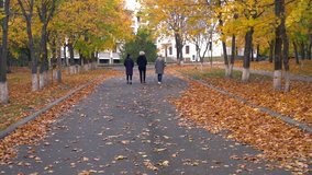 Three women in jackets calmly strolling in park and chatting, camera following them from the back. The park walkway is covered with withered yellow leaves on windy autumn day