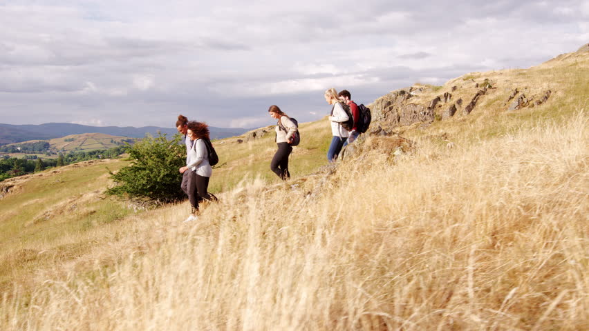 A multi ethnic group of smiling young adult friends help each other while walking downhill in a field during a mountain hike