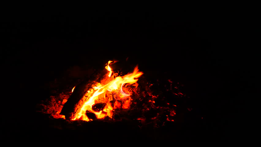 Zoom In Night Wood Fire And Stock Footage Video 100 Royalty Free 1019858827 Shutterstock