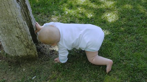 Baby learns to walk outdoors. Closeup shot of toddler in white onesie standing right by the tree on green grass in spring park.