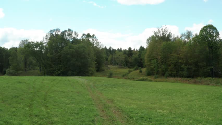 Aerial drone view green farm forest in summer 01