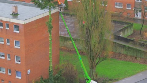 LUBECK, GERMANY - DECEMBER 08, 2017: City service worker cutting tree branch at height. Lubeck. Germany