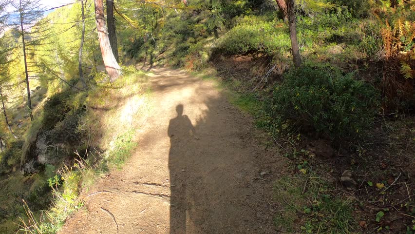 Silhouette of man walking on the pathway in the forest, fast speed. 4k