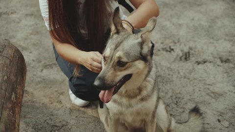 Beautiful happy young woman stroking her loving dog in the forest.slow motion.