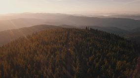 Forest Road Drone Footage Flying Above Clouds Trees Sunrise Aerial Footage Beautiful Nature Landscape Sunrise Mountain Range Beskydy Lysa Hora Hilly Landscape Beautiful Nature Above View Outdoor