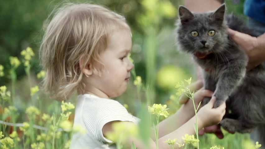 Close-up portrait of a little cute girl playing with a cat among flowers