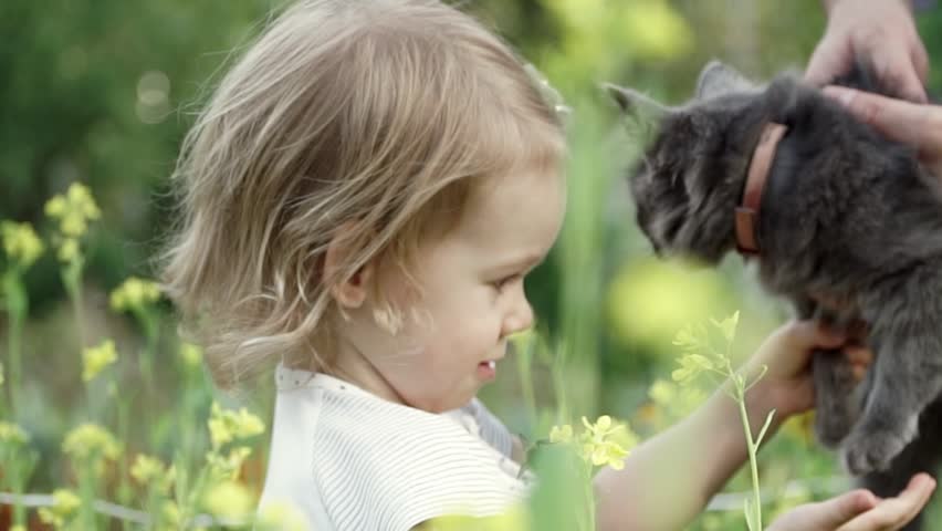 Little cute girl with a kitten on the meadow looks at a bee collecting nectar