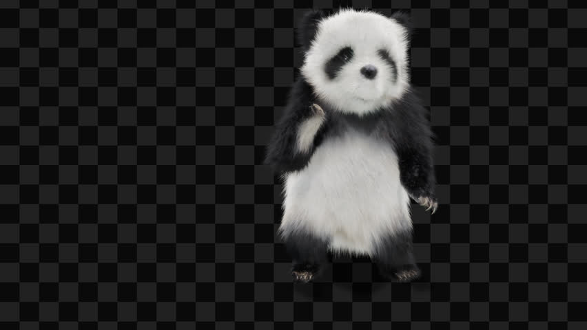 panda  CG fur 3d rendering animal realistic CGI VFX Animation  Loop alpha dance Dancing Twerk animals shadow