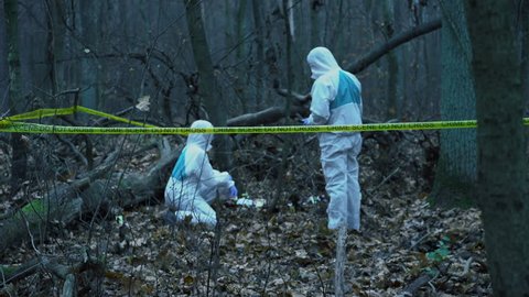 Two forensic experts in protective gear working at crime scene in forest. Crime scene investigation in progress