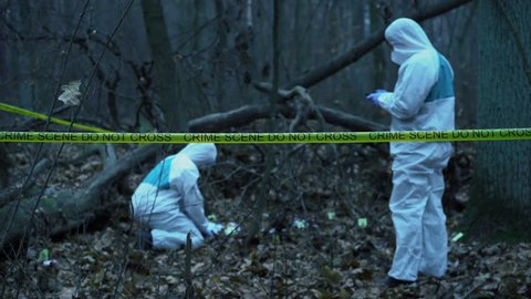 Forensic analysts collecting evidence at crime scene in forest, murder site. Crime scene investigation in progress