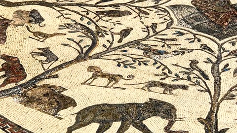 Mosaic of the Roman ancient ruins of the Volubilis city in UNESCO, Morocco in Africa