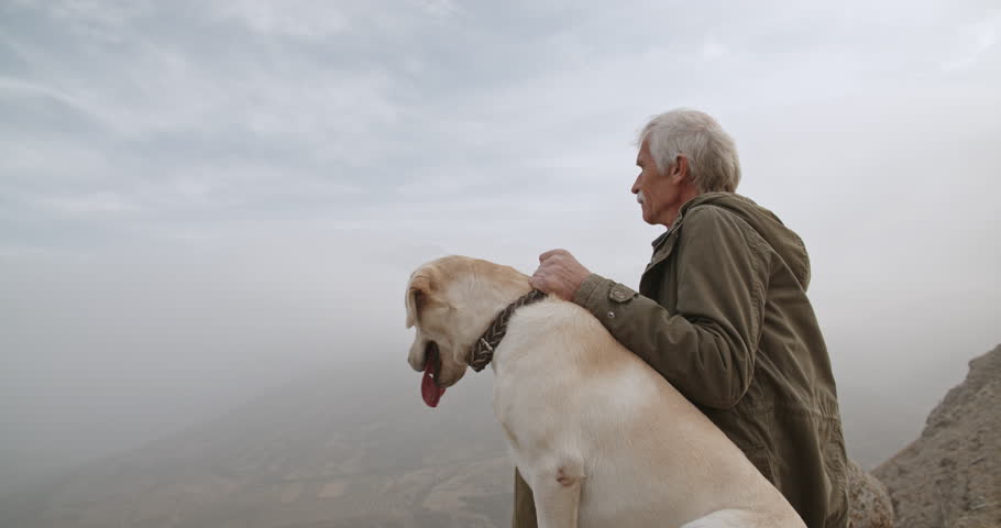 Old caucasian man sitting on edge of cliff with his beautiful labrador dog, looking far away - old friendship concept 4k
