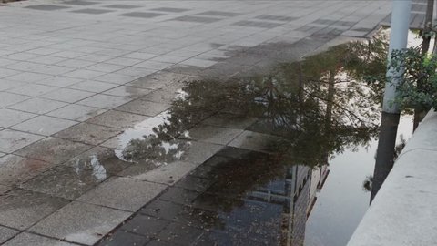Tel Aviv - November 15th 2018: A tall building, a tree, and people walking on a main street, shown through reflectios in a puddle from rain that stopped a few hours before the shot was filmed.