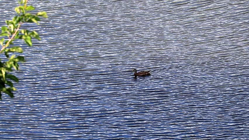 reflection of blue sky in calm water of a reservoir