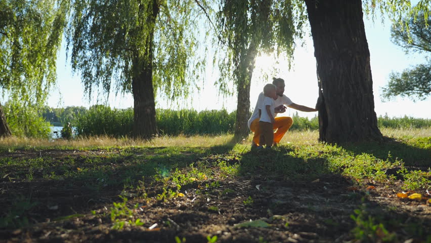Young dad and his little child finding nest hole in trunk of tree at sunny summer day. Happy family spending time together at nature. Sunlight at background. Low angle view Slow motion