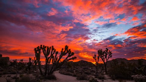 Timelapse of epic sunrise sky lit up by morning sun in Joshua Tree National Park, California