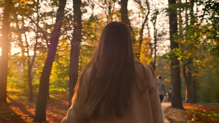 Shooting from behind, delightful caucasian girl is walking from camera in natural golden area, enjoying autumn sunny day, yellow cosy warm illustration outdoor