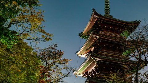Timelapse with pan right motion of Buddhist pagoda at night in Ueno Park in Tokyo, Japan