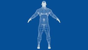 Athlete body. The layers of visible and invisible lines are separated. 3d illustration turntable video
