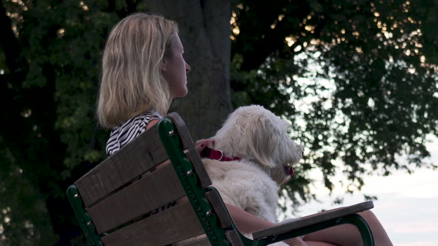 Blond woman sitting peacefully on the bench looking at the lake with her cute, white, loving dog. Slide left.