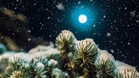 soft snowfall in the winter forest on a moonlit night, a beautiful evening winter landscape with falling snow, video loop - Powered by Shutterstock - Get 15% off with code: PIKWIZARD15