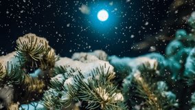 soft snowfall in the winter forest on a moonlit night, a beautiful evening winter landscape with falling snow, video loop - Powered by Shutterstock - Get 15% off with code: PIKWIZARD15