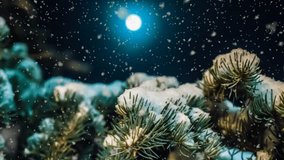 soft snowfall in the winter forest on a moonlit night, a beautiful evening winter landscape with falling snow, video loop - Powered by Shutterstock - Get 15% off with code: PIKWIZARD15