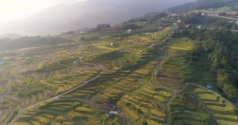 Aerial drone cinematic shot of rice paddies at sunrise, Nagano Prefecture, Japan