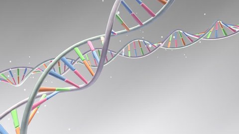 Color Dna Scheme Stock Vector (Royalty Free) 609019046 | Shutterstock