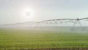 Watering System - Irrigation of the Field, Video Clip 4k