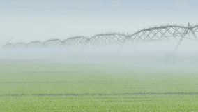 Watering System - Irrigation of the Field, 4K Video Clip