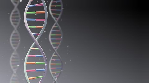 Telomere Repeating Sequence Doublestranded Dna Located Stock Vector