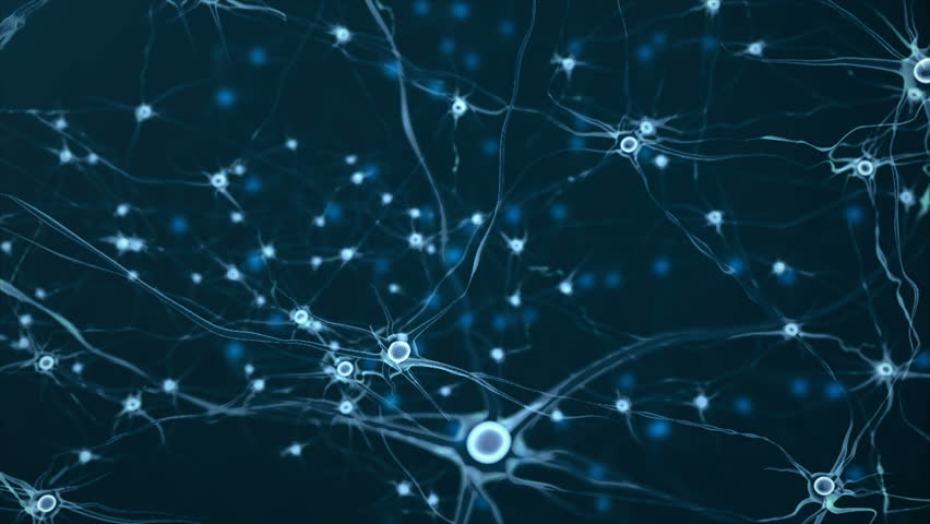 Real Neuron synapse network. Royalty-Free Stock Footage #1020133924
