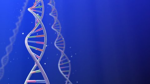 Telomere Repeating Sequence Doublestranded Dna Located Stock Vector