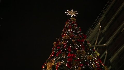 Shots of Christmas trees and lights , and it shows the beauty of the place at Christmas celebration .