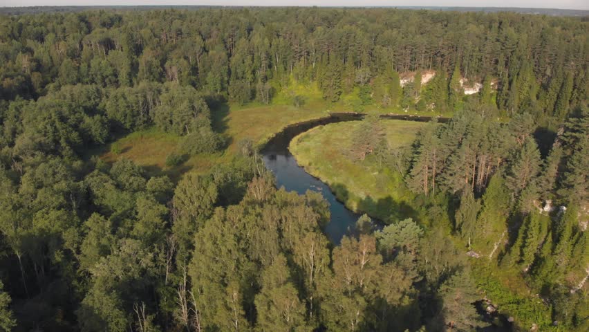 Winding river flows through summer forest. Green trees on banks. Aerial shot