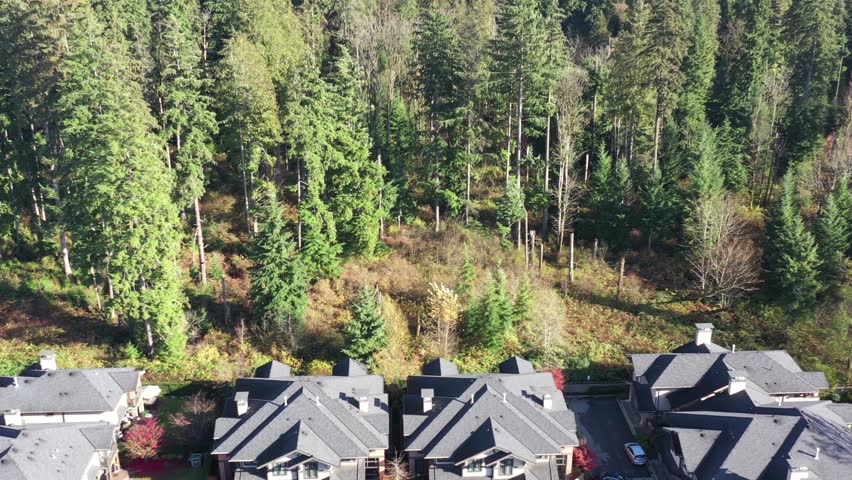 A perfect neighbourhood. Houses in suburb at Summer in the north America. Luxury houses with nice landscape. Aerial drone view.