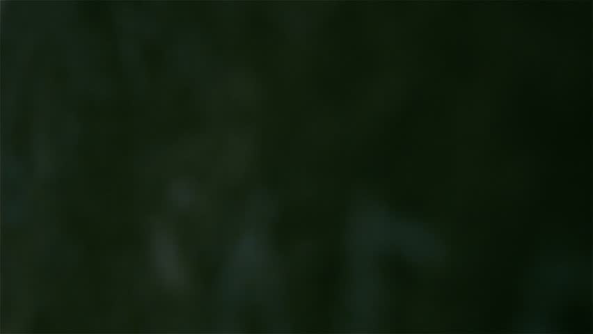 Spire of Prague Castle St Vitus Cathedral, Prague, Czech Republic. 